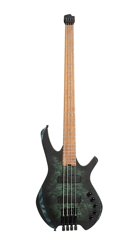 Amazon.com: Cort SPACE4SDG Artisan Series Space 4 Bass